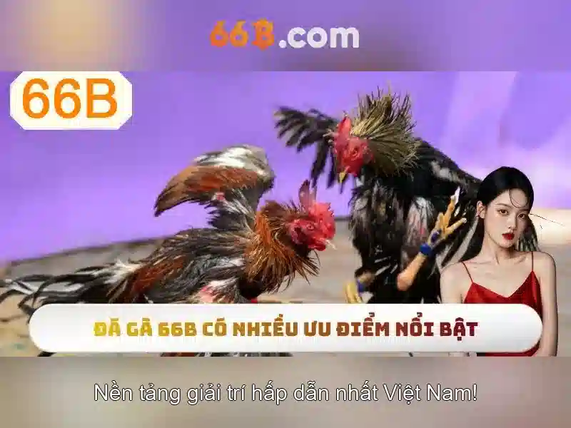 Ứng dụng của 66b\n