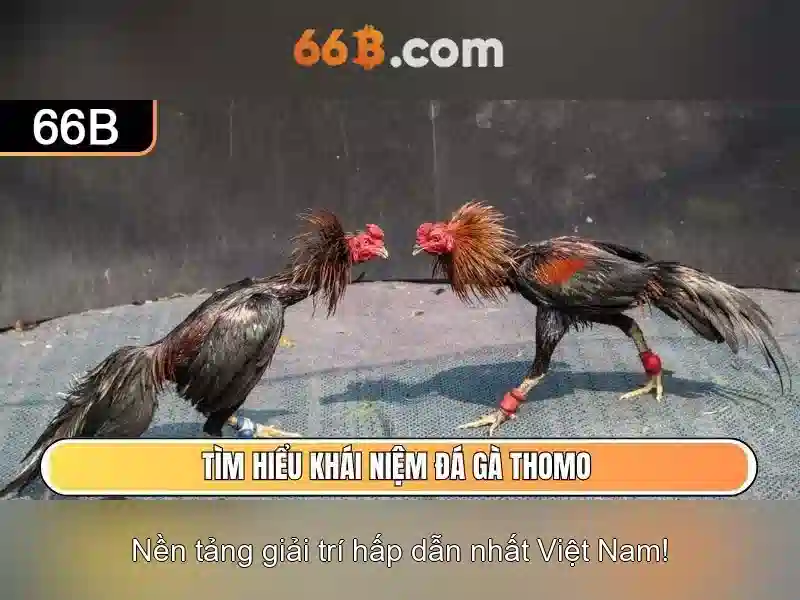 Về 66b: Khám phá ý nghĩa và ứng dụng