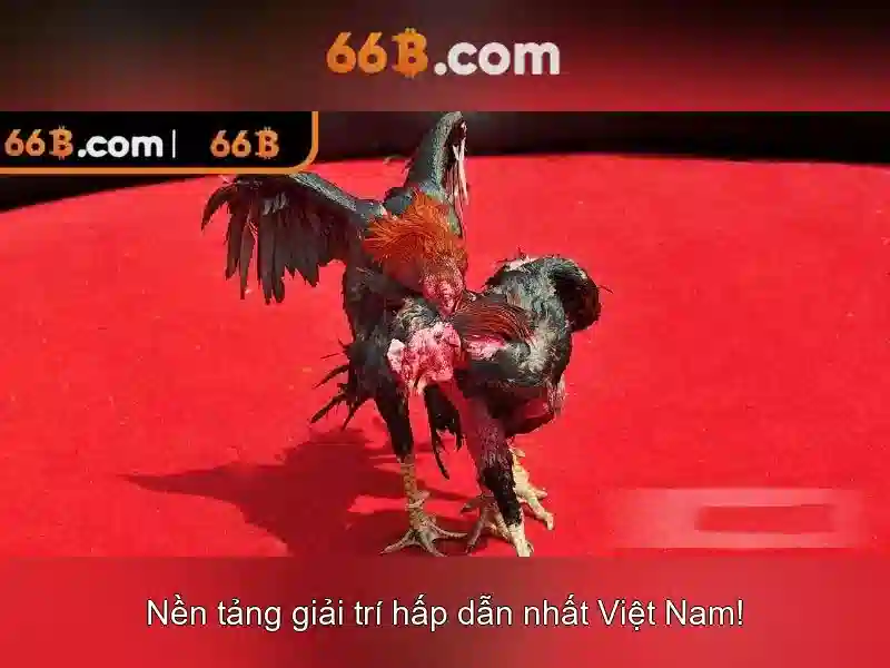 66B là gì? Giới thiệu về mô hình 66B