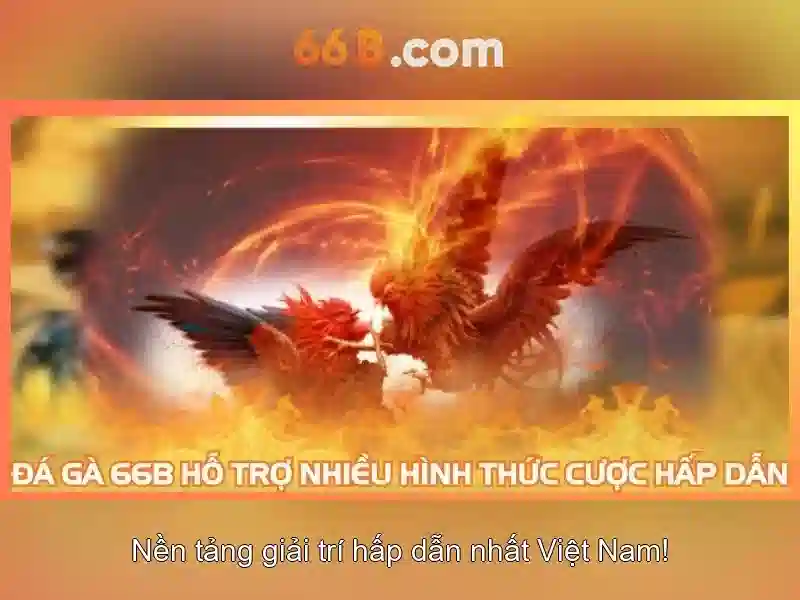 Thực tiễn và thách thức trong 66B