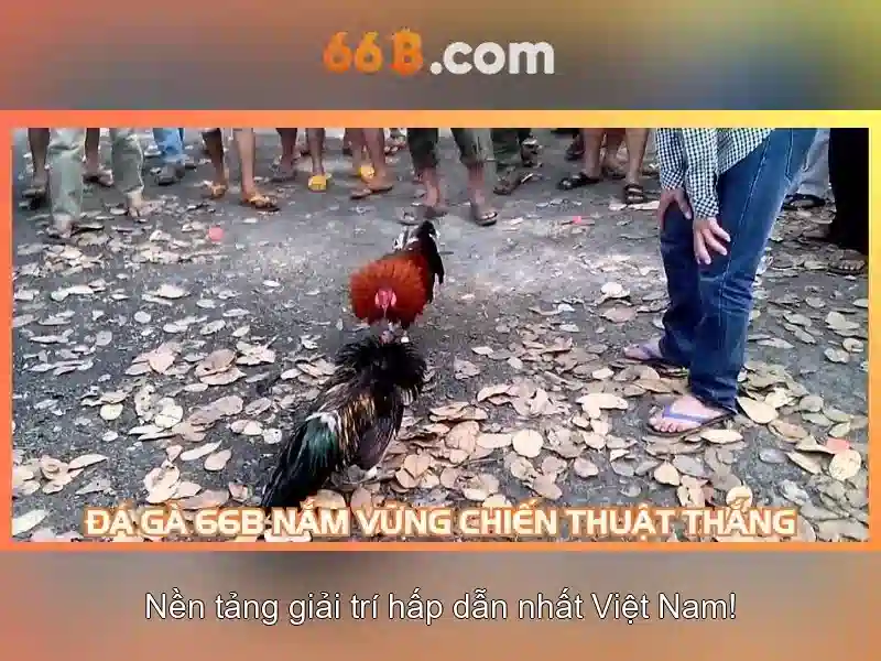 Kiến trúc và tham số