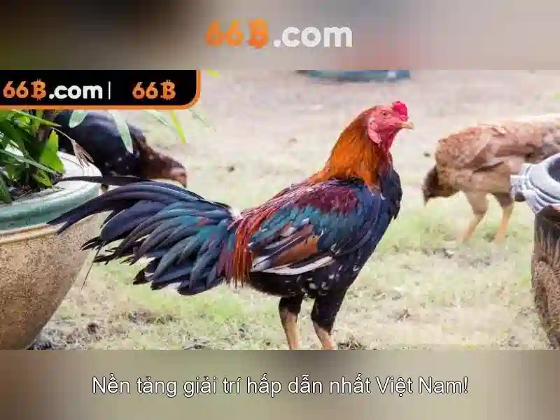 Đặc điểm nổi bật