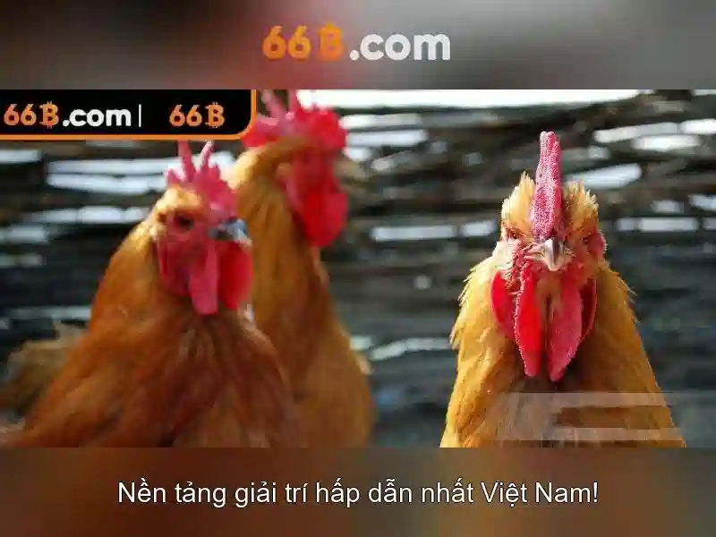 66b: Sự phát triển và ứng dụng của một mô hình ngôn ngữ tiên tiến