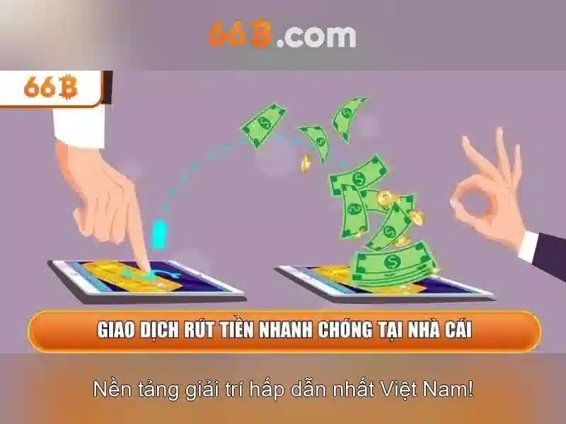 66B là gì?\n