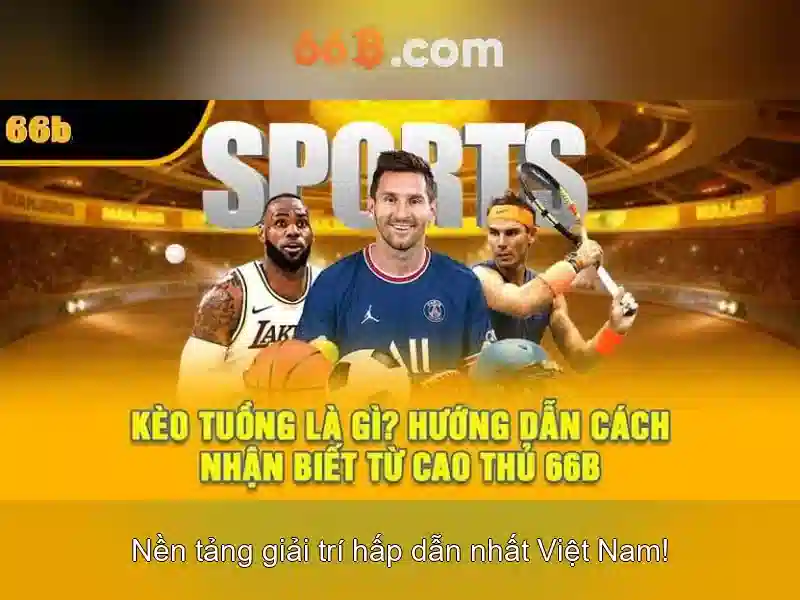 Định nghĩa và phạm vi của 66B