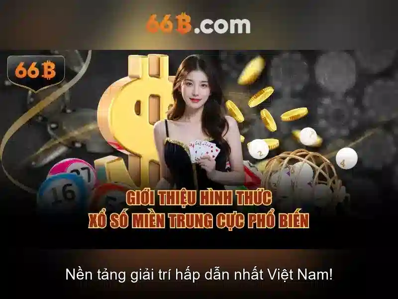 66B là gì\n