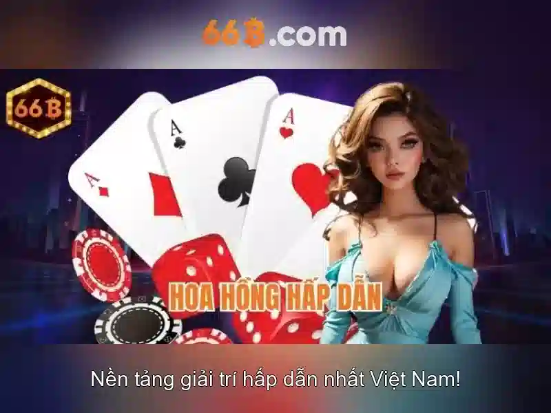 66b là gì?\n