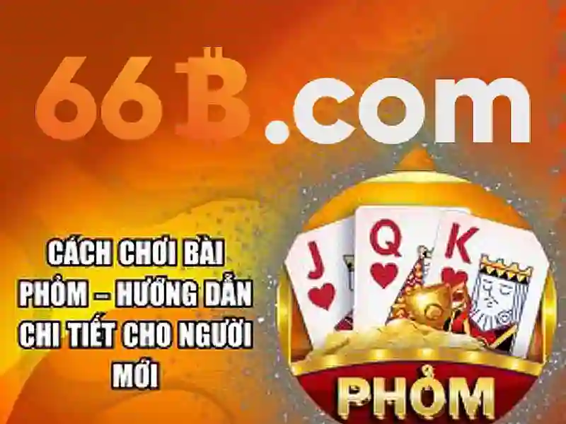 Khả năng và ứng dụng
