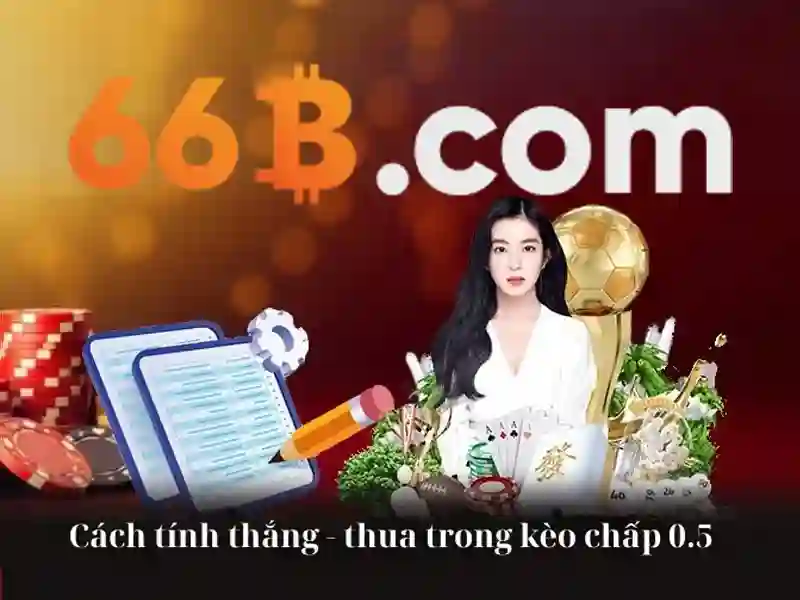 66b nguyễn sĩ sách tân bình – hình ảnh minh họa