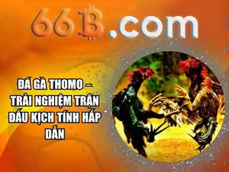 slot 66b: Đột phá công nghệ và trải nghiệm vượt trội cho người dùng