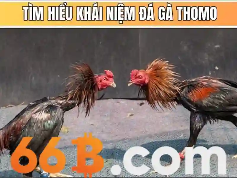 66B: Mô hình ngôn ngữ 66 tỷ tham số và những ứng dụng