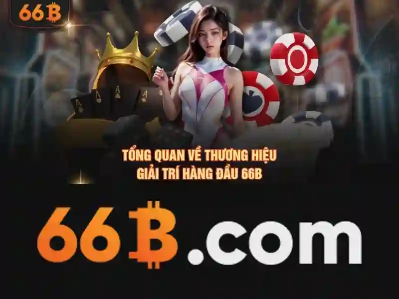Những lưu ý khi sử dụng