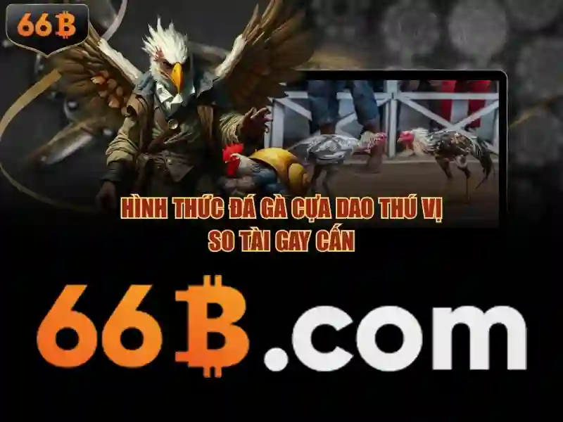 66b online: Nền tảng tối ưu cho trải nghiệm số