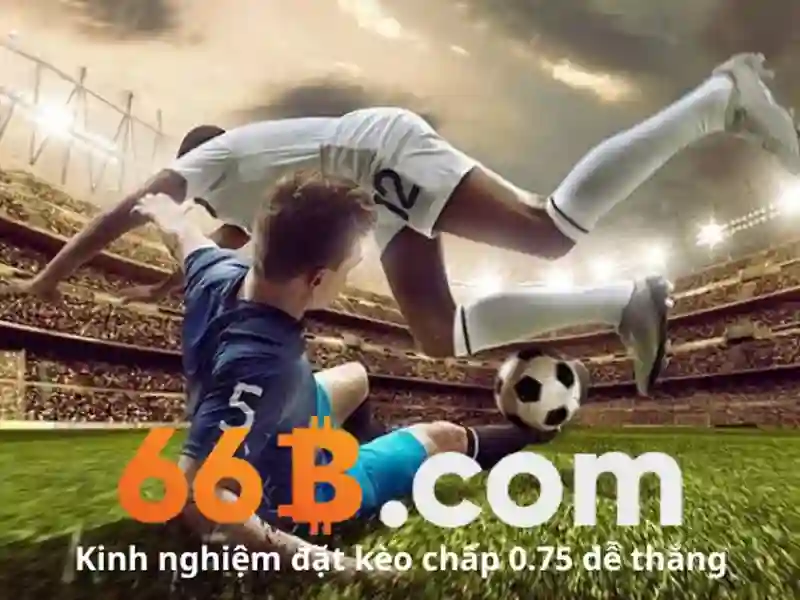 Ứng dụng của 66B