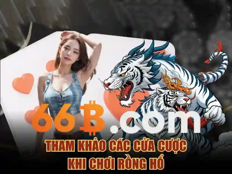 66B: Khám phá thuật ngữ và ứng dụng