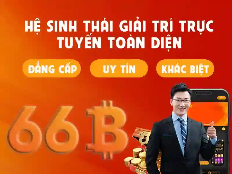 Các đặc điểm chính của 66B