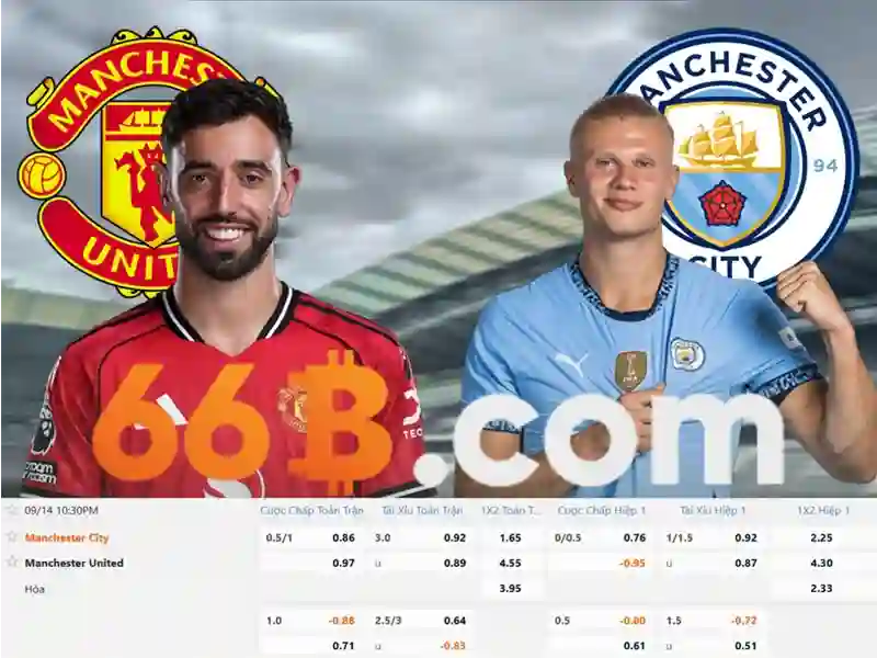 66b bus schedule – Tổng quan và trải nghiệm