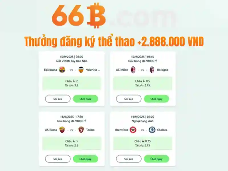 66b: một khái niệm đa ngành