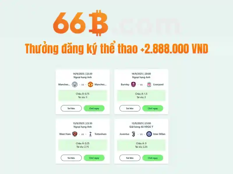 Sản phẩm và dịch vụ cốt lõi của hoogoorddreef 66b\n