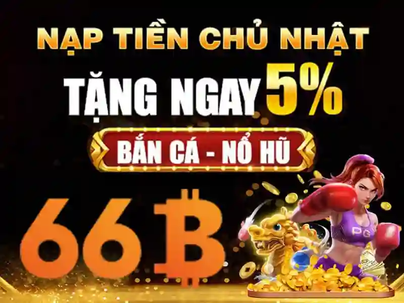 Trải nghiệm 66b cách mạng tháng 8 phường 6 quận 3