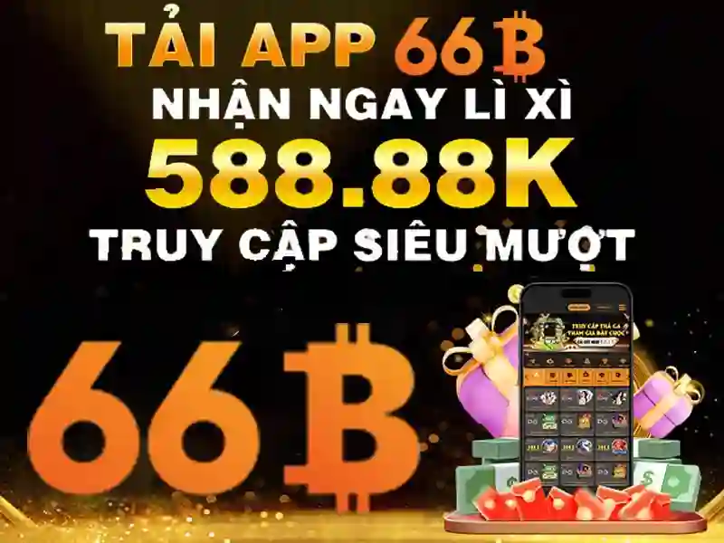 66B là gì?