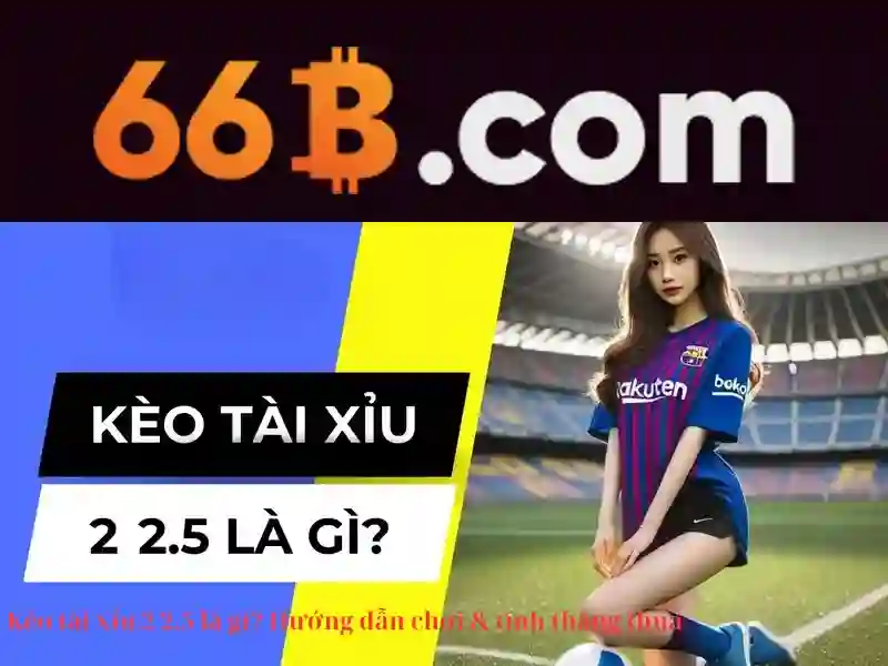 66b: một mô hình ngôn ngữ lớn với quy mô 66 tỷ tham số