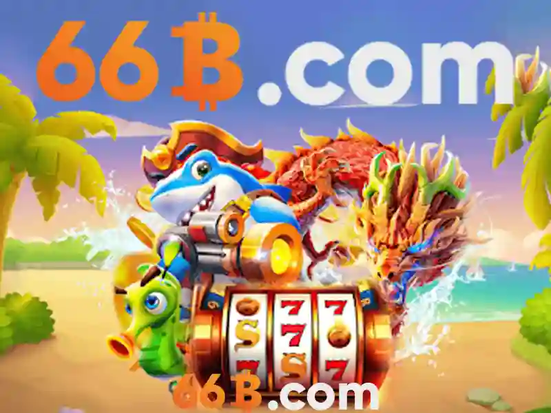 66b là gì?