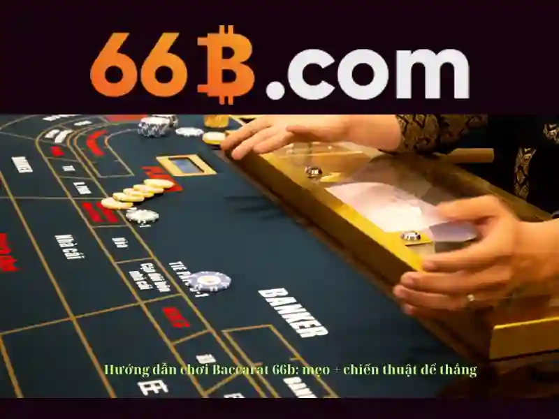 66B là gì?