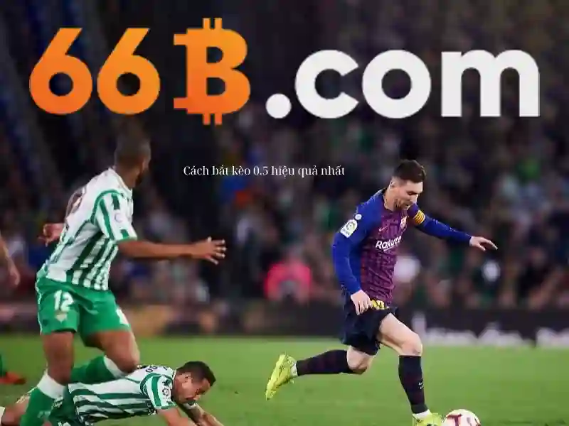 66B là gì và vì sao nó quan trọng\n