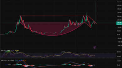 Solana Price USD: What’s Driving the Current Surge?